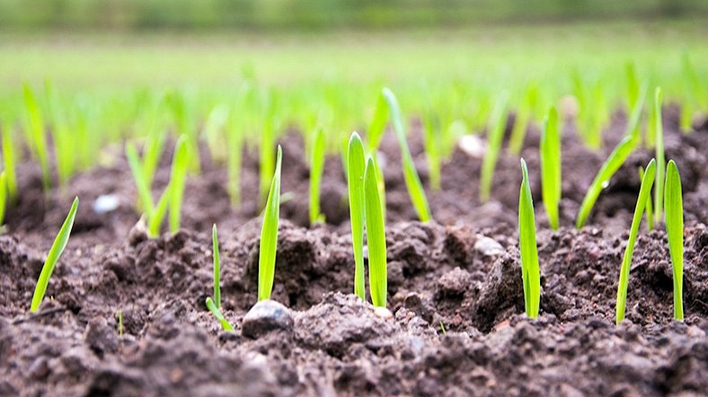 Правильное планирование целей – залог успеха и процветания!