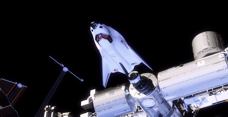 Завоевать внимание любой ценой